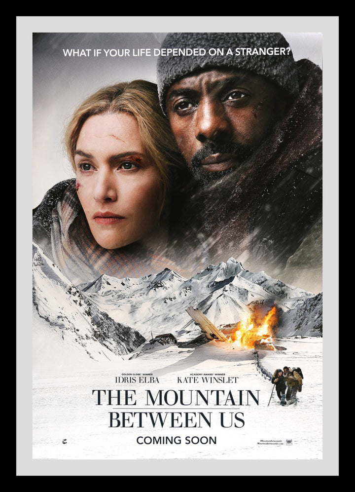 The Mountain Between Us Original Movie Poster