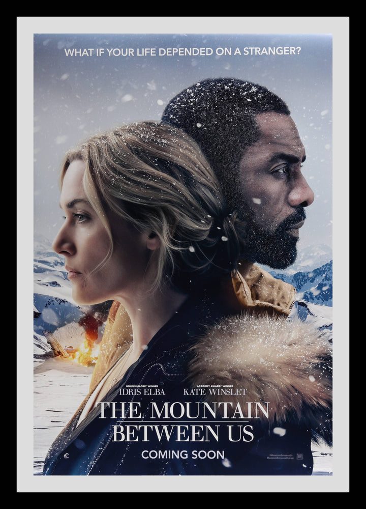 The Mountain Between Us Teaser Original Movie Poster
